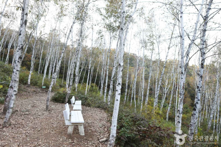 서후리숲_3_공공3유형.JPG