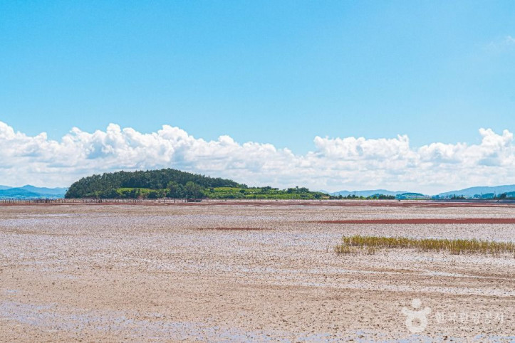 무안황토갯벌랜드_2_공공1유형.jpg