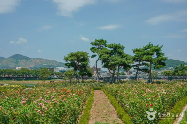 장미공원(밀양)_1_공공1유형.jpg