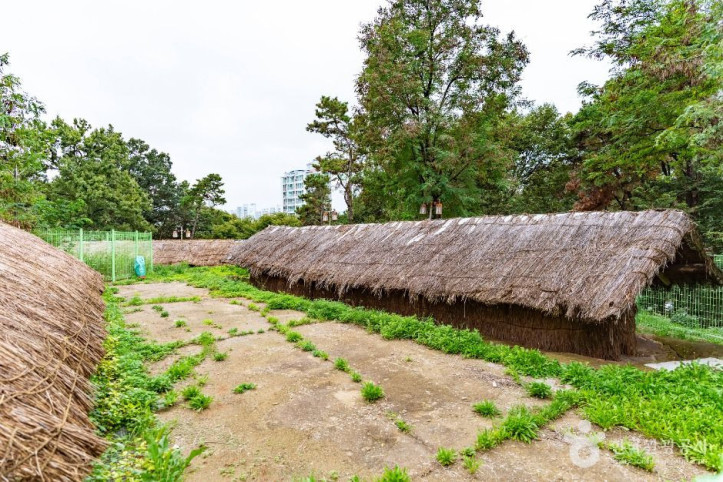 불당동_유적공원_(선사유적지_공원)_5_공공1유형.jpg
