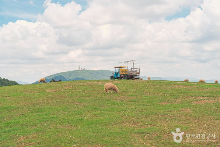 울산양떼목장_4_공공1유형.jpg