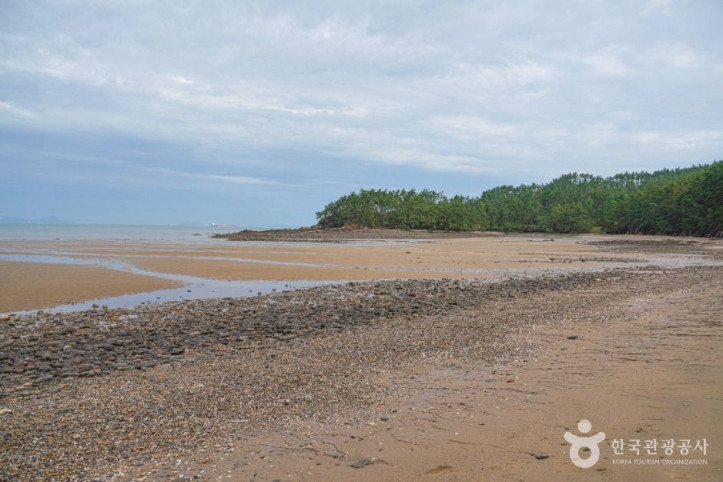 사목해수욕장_5_공공1유형.jpg