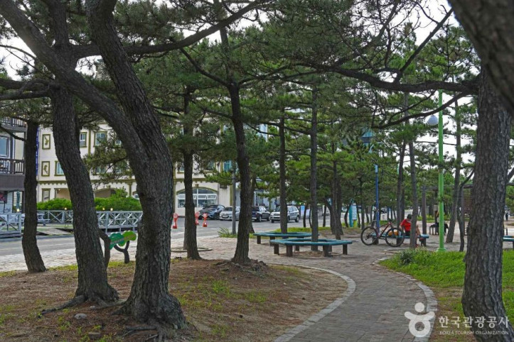 강릉_안목해맞이공원_4_공공3유형.JPG