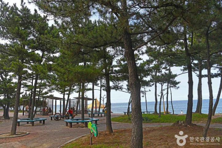 강릉_안목해맞이공원_7_공공3유형.JPG