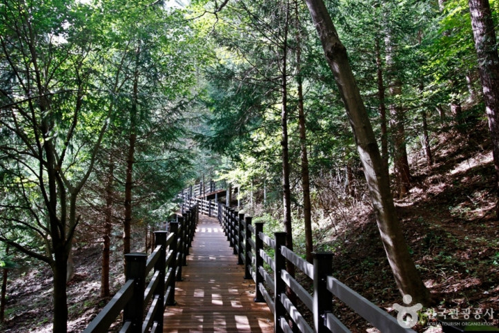 국립_덕유산자연휴양림_6_공공3유형.JPG