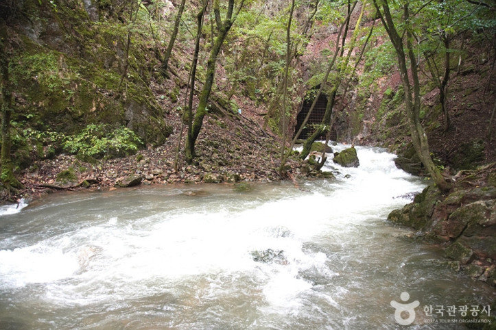삼척_초당굴_10_공공3유형.jpg