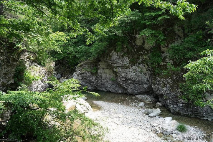 노루용추_계곡_(청송_국가지질공원)_1_공공3유형.jpg