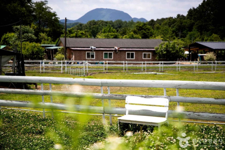 양평양떼목장_5_공공1유형.jpg
