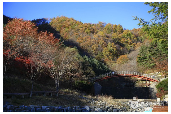 금봉자연휴양림_4_공공3유형.jpg