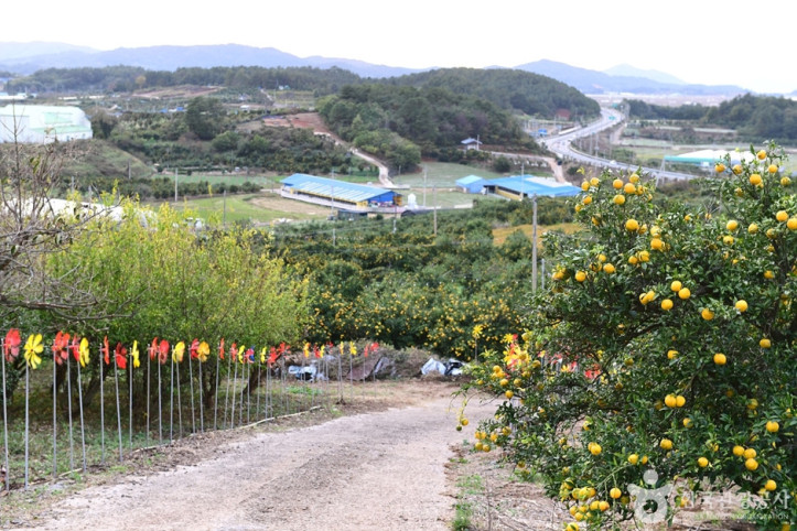 고흥_유자공원_5_공공3유형.jpg