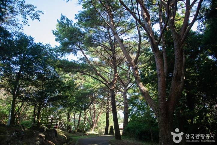 서귀포자연휴양림_7_공공3유형.jpg