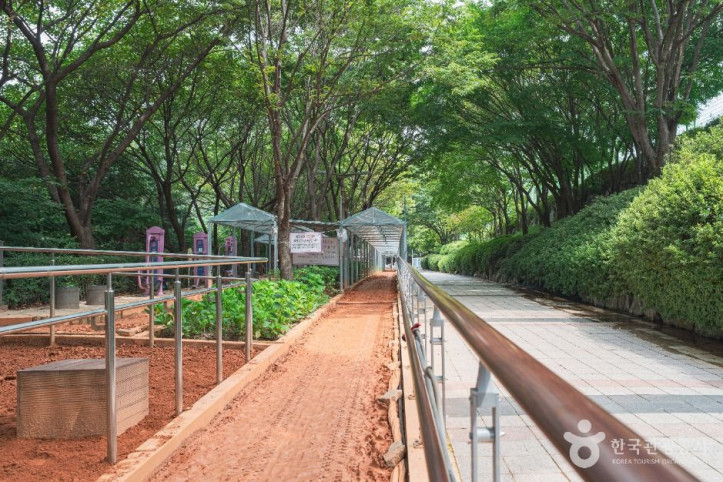 황송공원_4_공공1유형.jpg