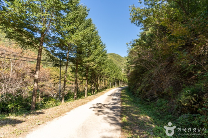 군위_장곡자연휴양림_10_공공3유형.jpg