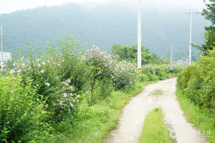 홍천_무궁화마을_8_공공3유형.jpg