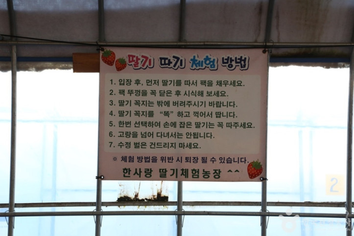 한사랑딸기체험농장_1_공공3유형.JPG
