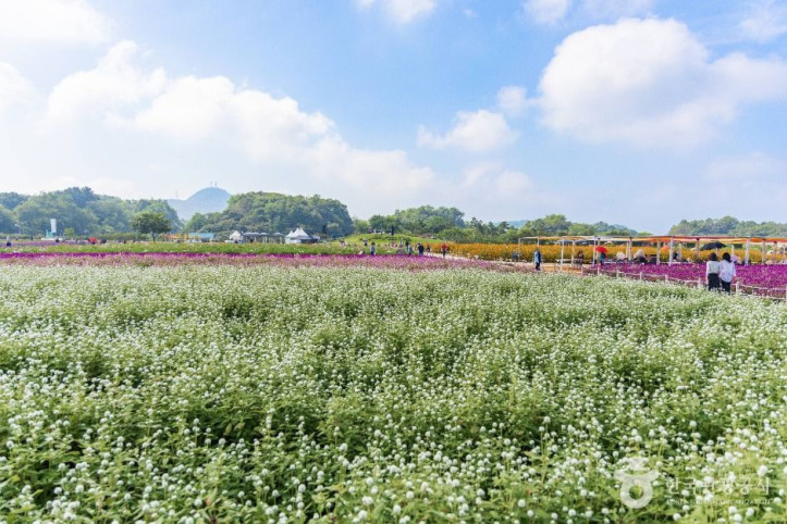 나리농원_3_공공1유형.jpg