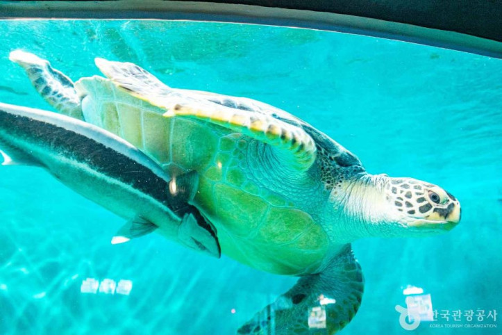 울진아쿠아리움_6_공공3유형.jpg