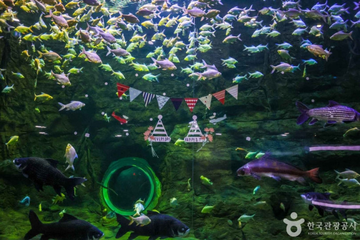 대전아쿠아리움_5_공공3유형.jpg