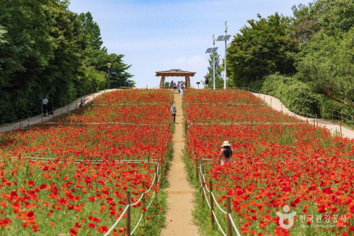 올림픽공원_들꽃마루_4_공공1유형.jpg