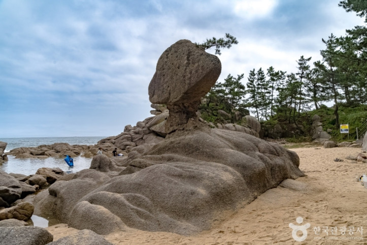 송지호해안_서낭바위_(강원평화지역_국가지질공원)_5_공공3유형.jpg