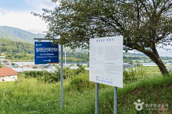 필리핀군_전투전적비_3_공공1유형.jpg