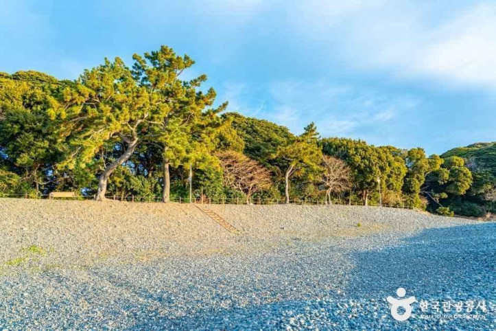 미라리해수욕장_3_공공1유형.jpg