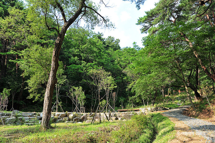 화진포소나무숲산림욕장_4_공공3유형.jpg