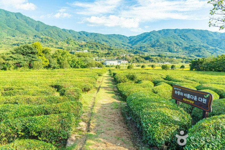 경남_하동_악양면_[슬로시티]_5_공공1유형.jpg