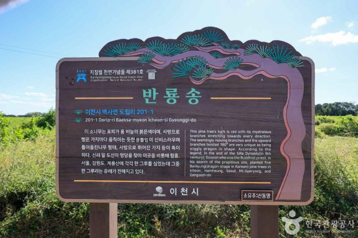 이천_도립리_반룡송_5_공공3유형.jpg