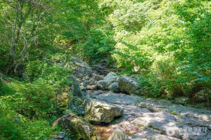찰비계곡_3_공공1유형.jpg