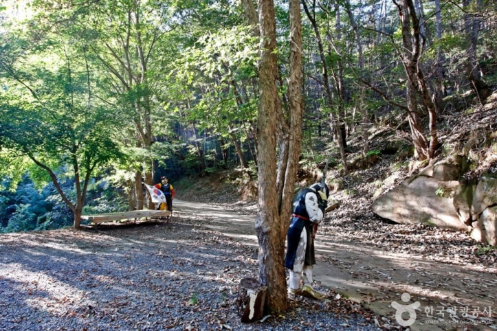 천태산_3_공공3유형.JPG