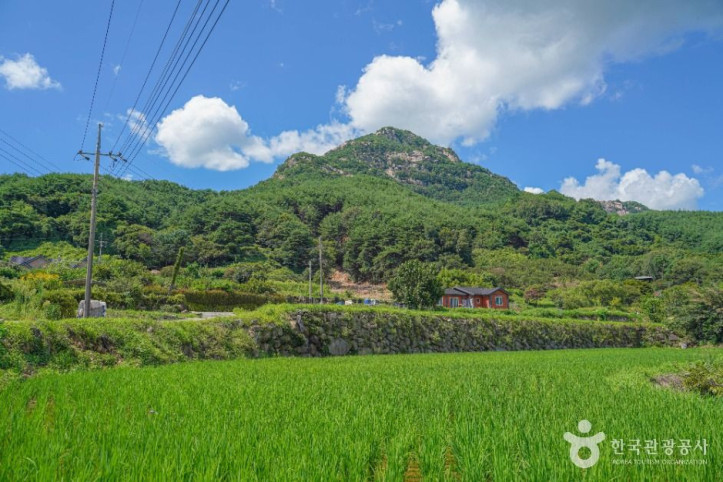다옴농촌체험휴양마을_4_공공1유형.jpg