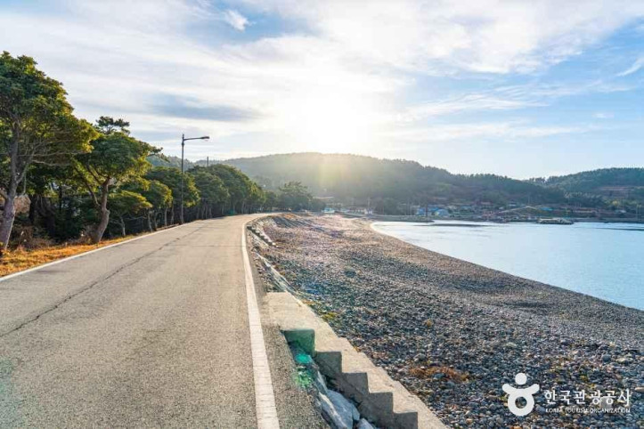 진산리해수욕장_5_공공1유형.jpg