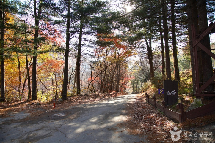 국립_용대자연휴양림_1_공공3유형.jpg