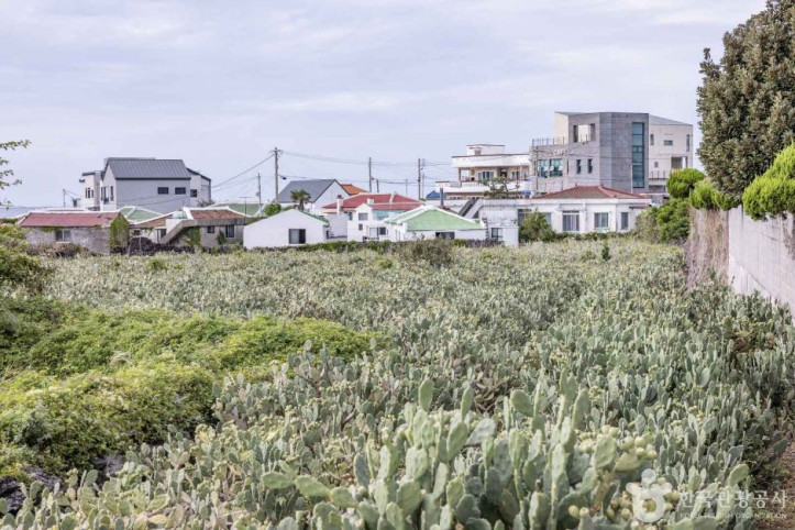 제주선인장마을_6_공공3유형.jpg