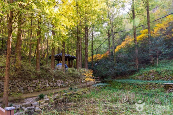 장태산자연휴양림_3_공공1유형.jpg
