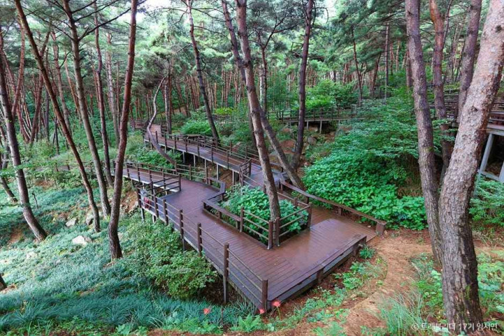 거창_항노화힐링랜드_5_공공1유형.jpg