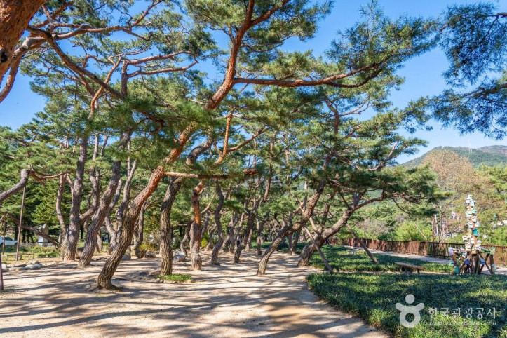 의림지_솔밭공원_2_공공1유형.jpg