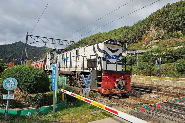 백두대간협곡열차(V-트레인)_8_공공3유형.jpg