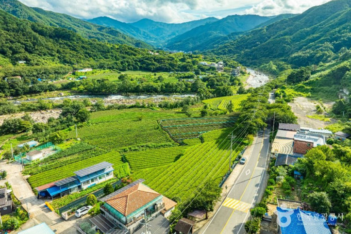 하동_삼신녹차마을_2_공공1유형.jpg