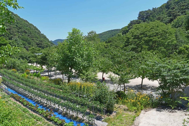 광덕산_관광농원_7_공공3유형.JPG