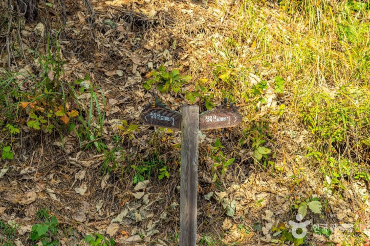 청옥산_도깨비길_5_공공1유형.jpg
