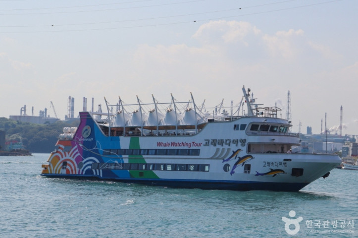 장생포_고래바다여행선_5_공공3유형.jpg