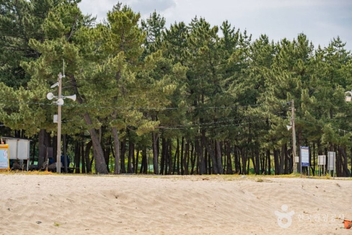 잔교리해수욕장_2_공공1유형.jpg