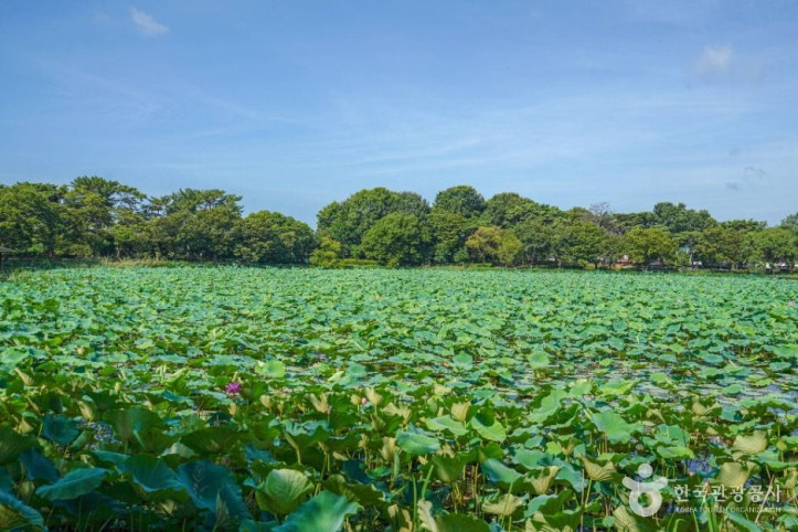 강주연못_4_공공1유형.jpg