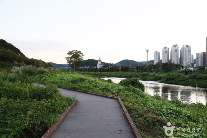 안양천_2_공공3유형.JPG