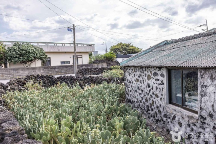 제주선인장마을_9_공공3유형.jpg