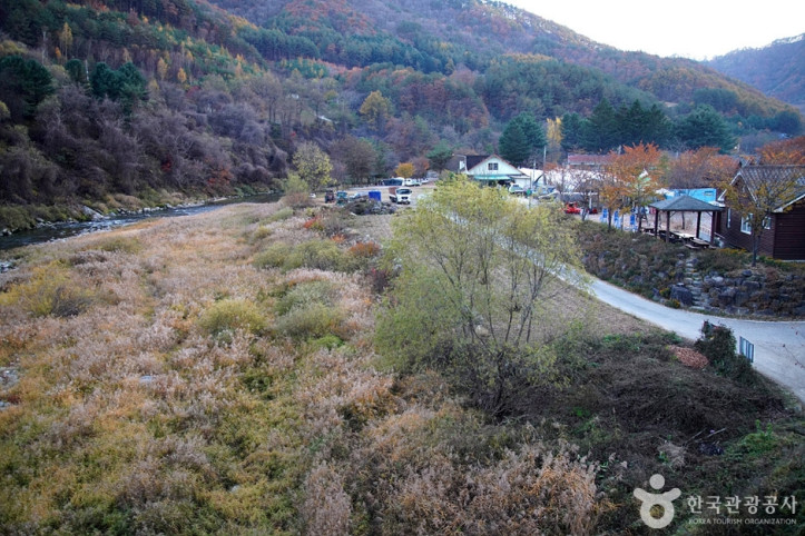홍천_살둔마을_8_공공3유형.jpg