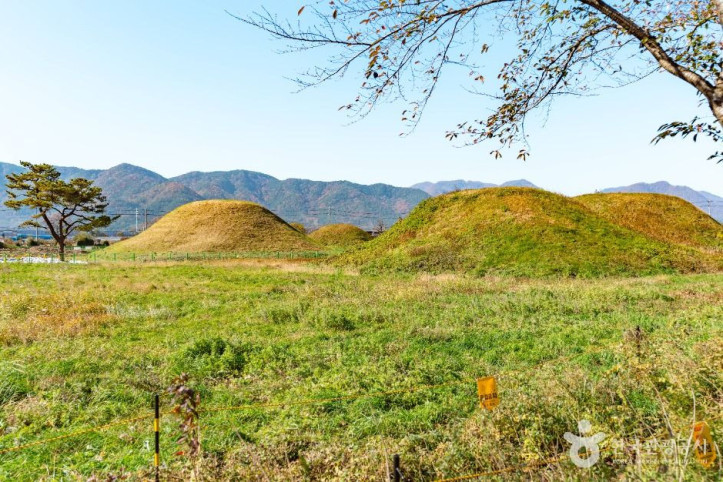 경주_금척리_고분군_3_공공1유형.jpg