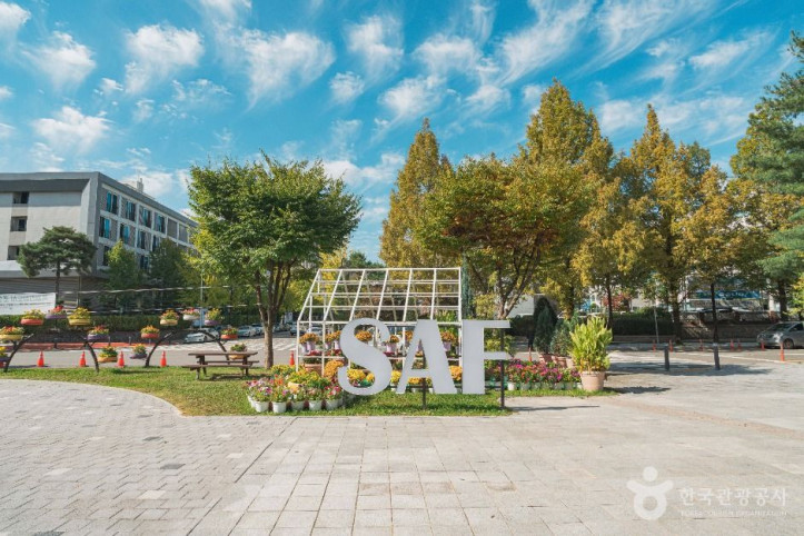 보라매공원(대전)_2_공공1유형.jpg